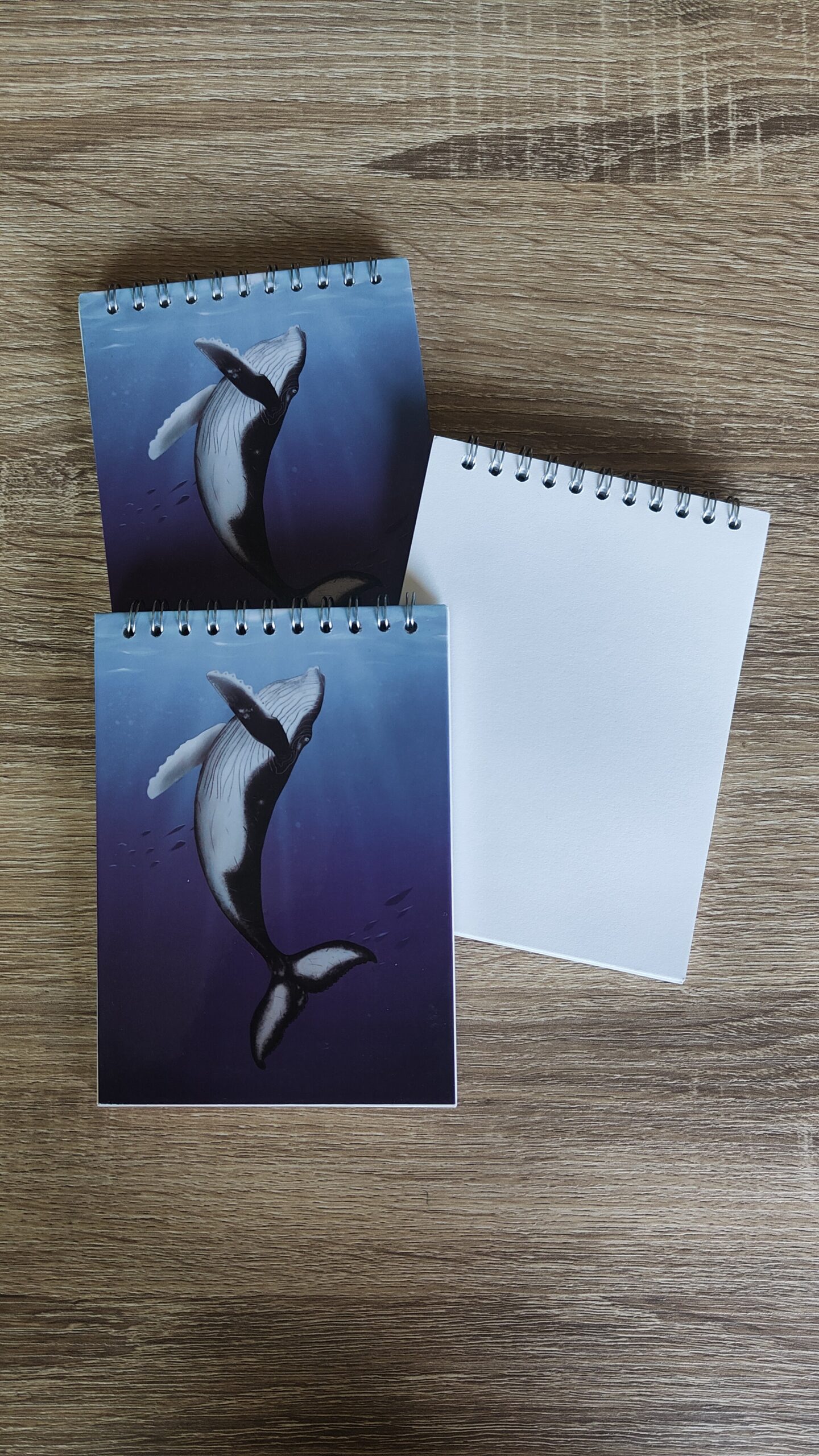 Humpback whale notebook